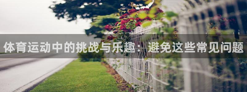 7m体育旧版本
