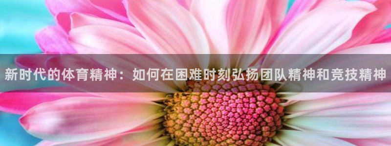 7m体育即时比分：新时代的体育精神：如何在困难时刻弘扬团队精神和竞技精神