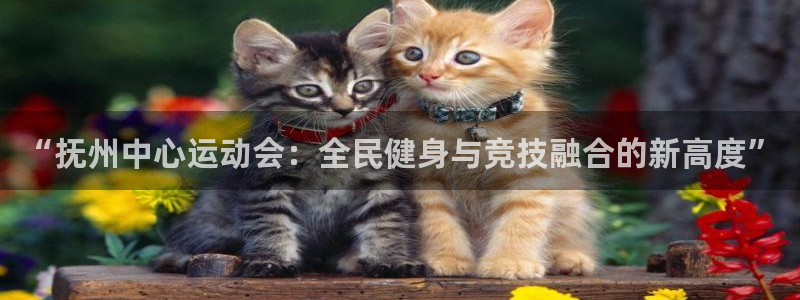 7m体育即时比分官网：“抚州中心运动会：全民健身与竞技融合的新高度”