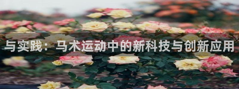 7m体育比分网
