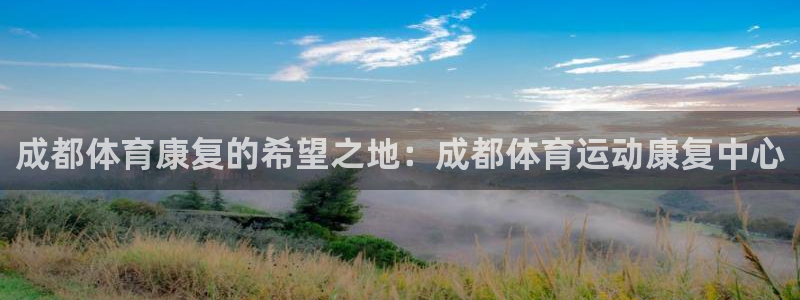 7m体育篮球