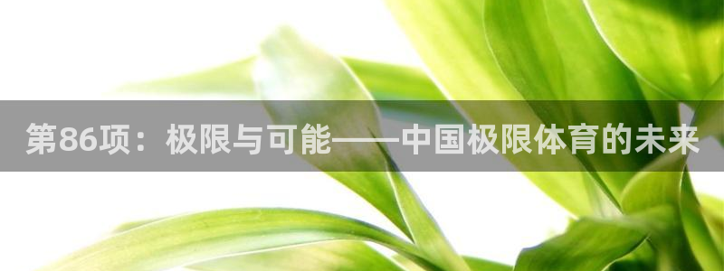 关键词